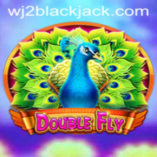 DoubleFly: A Unique Gaming Adventure with WJ2