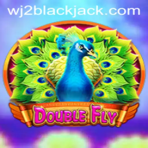 DoubleFly: A Unique Gaming Adventure with WJ2
